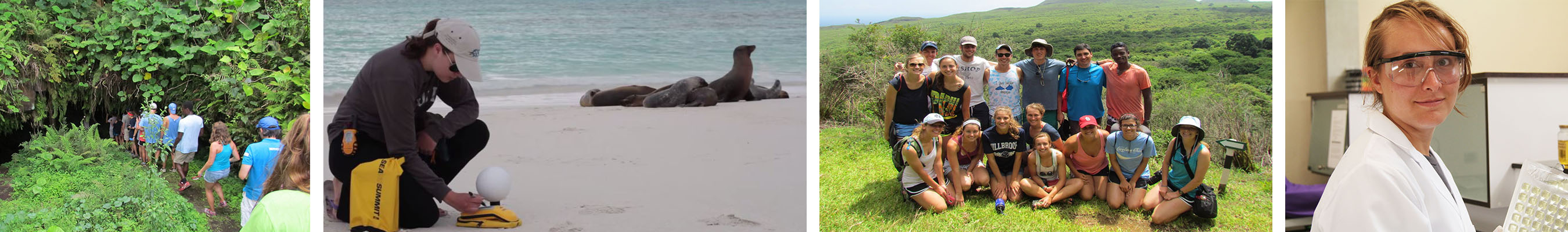 Collage of four images, left to right: A group of study abroad students enters the woods; a student gathers data on the beach near a group of sea lions; a large group of study abroad students cluster together; a researcher wearing lab equipment stands inside a lab.