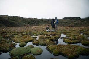 Three researchers stand in a large marsh.
