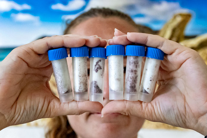 Student holds up six small, capped test tubes filled with sand-like material