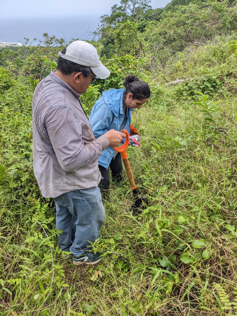 Antonio León and Noelia Nathaly Medina collect samples in the middle of an overgrown field overlooking the coast.