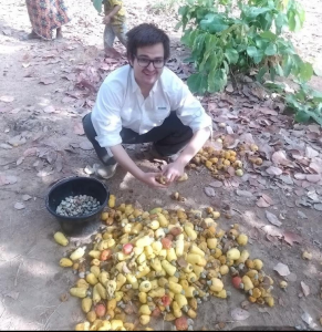 Alfredo Rojas crouching over a pile of cashew apples, a small bucket next to him with cashew nuts. 
